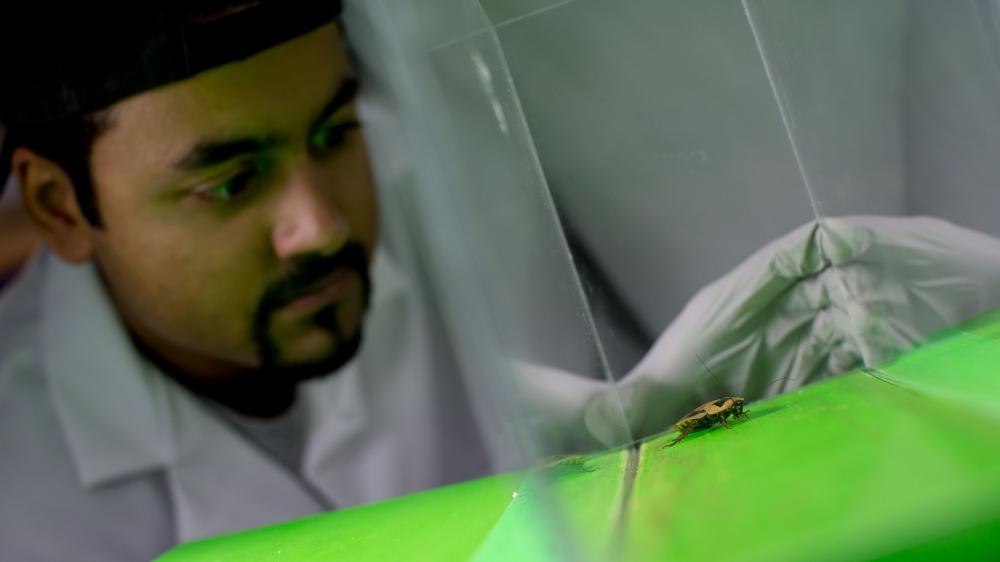 Engineering student conducting experiment in a lab