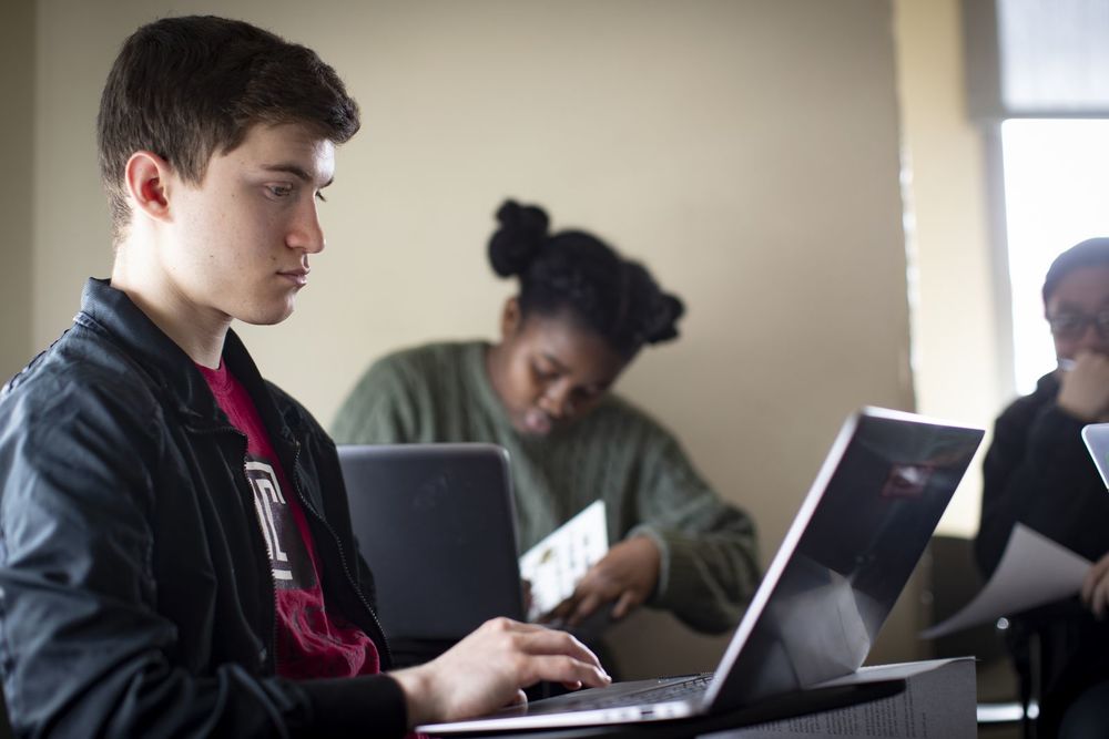 Students are concentrating on their laptops during class.
