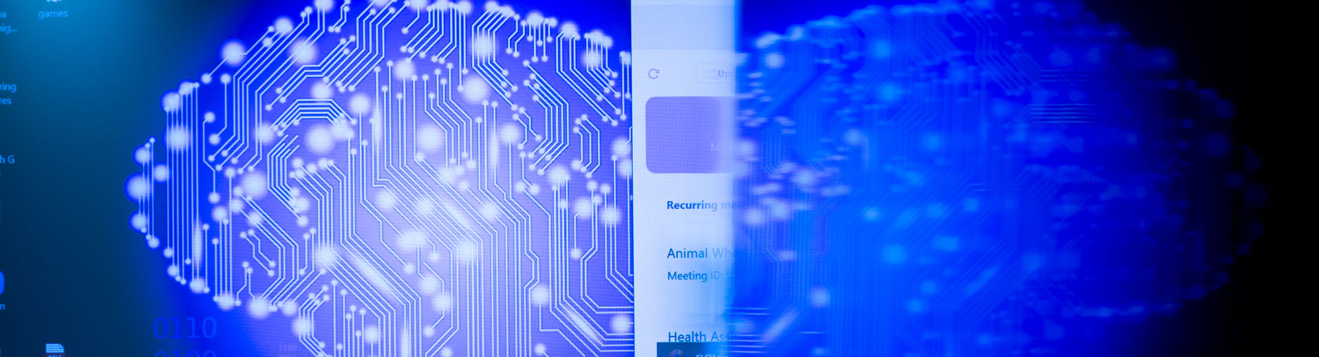 An X-ray image displaying both sides of a human brain