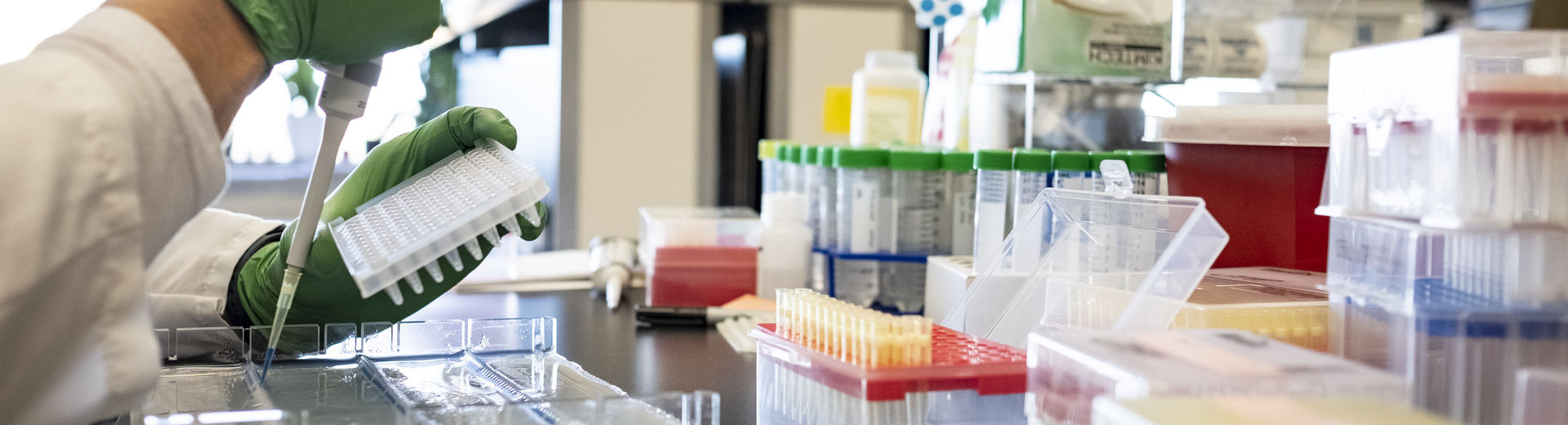 Two hands wearing green protective gloves pipeting liquid into a test tube