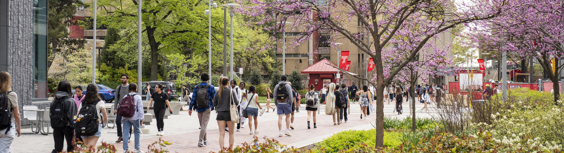 Students on Pollett Walk on a spring day